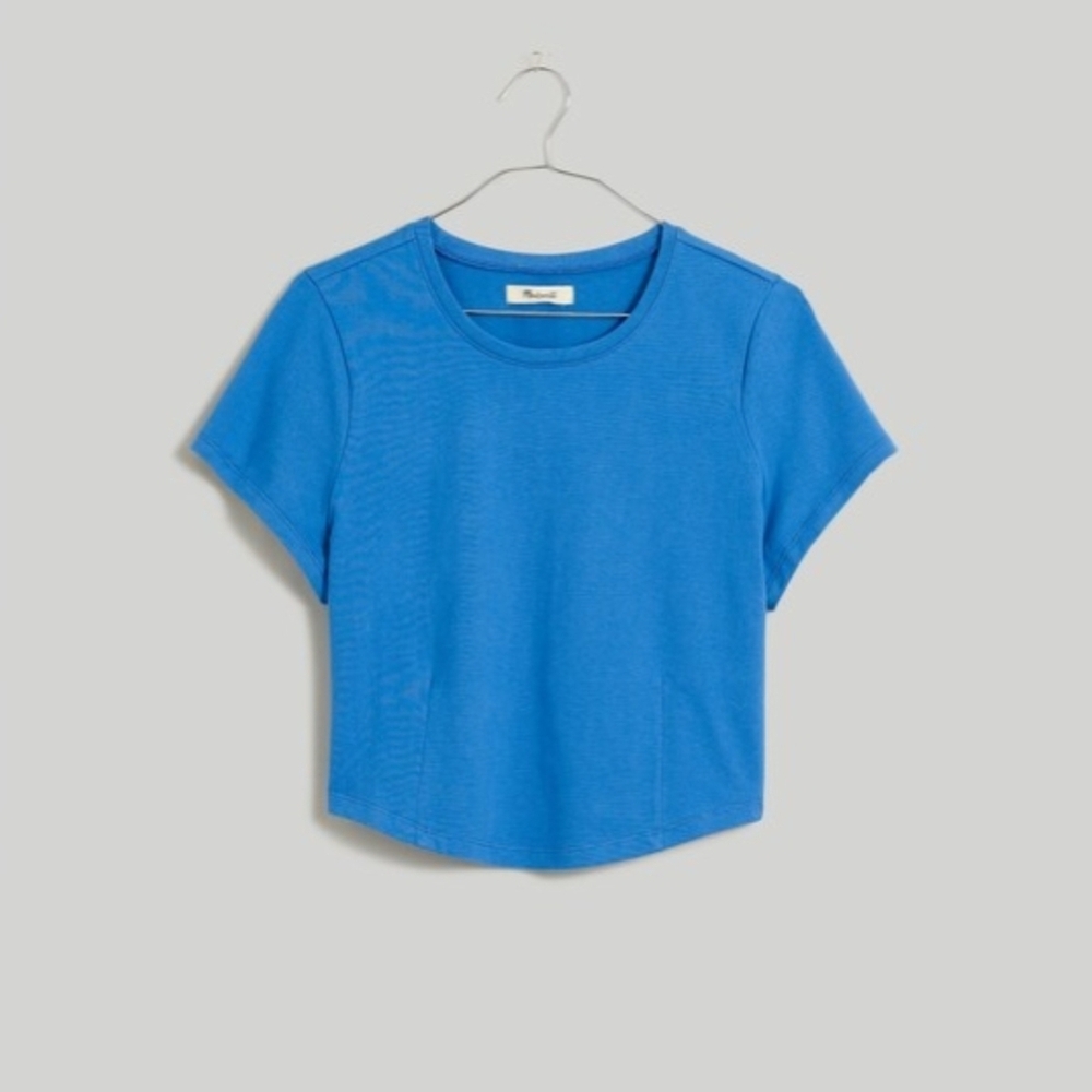 Madewell Small Heavyweight Jersey Crewneck Tee